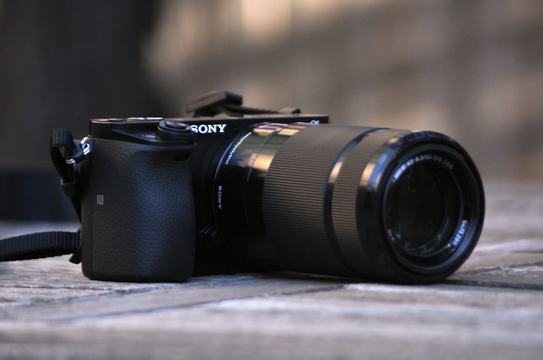 Luxury vs. Practicality: Finding the Perfect Balance in Photography Equipment